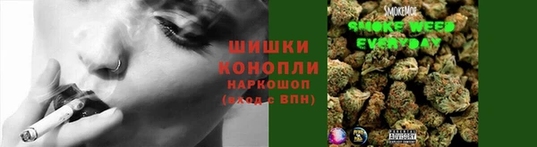 индика Магадан