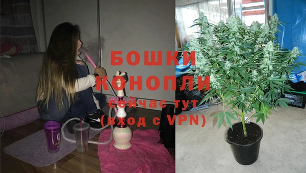 индика Магадан