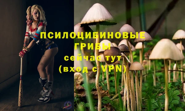 прущий лед Майский