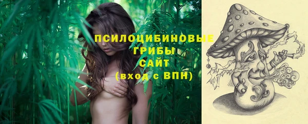 индика Магадан
